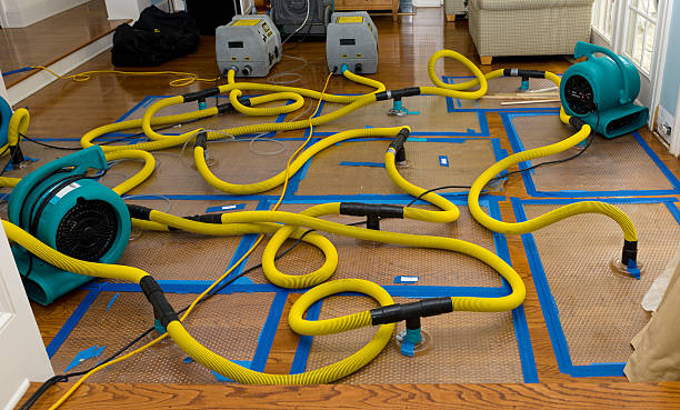 Professional Crawl Space Water Removal technician working in Wiscasset, ME